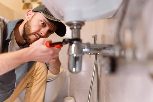 Best Residential Plumbing Services  in Lakeview, MI