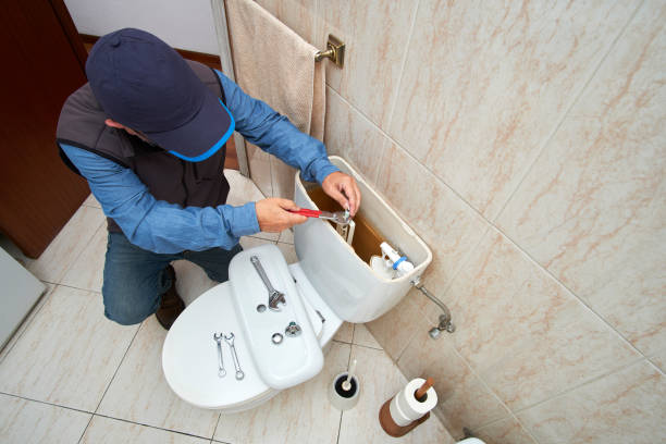 Best Toilet Repair Services  in Lakeview, MI